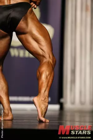 20101121 dbfv norddeutsche 2105