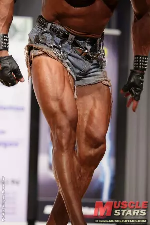 2011 nac sueddeutsche 1393