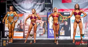 2022 nac universe 3978