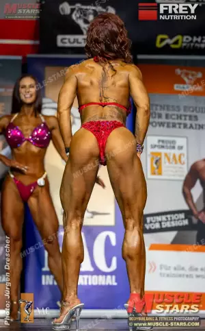 2024 nac universe 2653